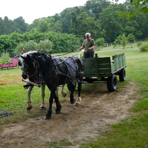 Pictured: Alex Dragovich of Mud Run Farm